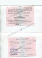 Справка об инвалидности